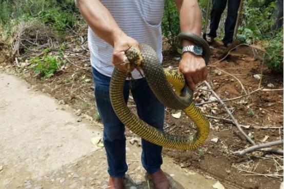 河南风采，文化、历史与现代发展