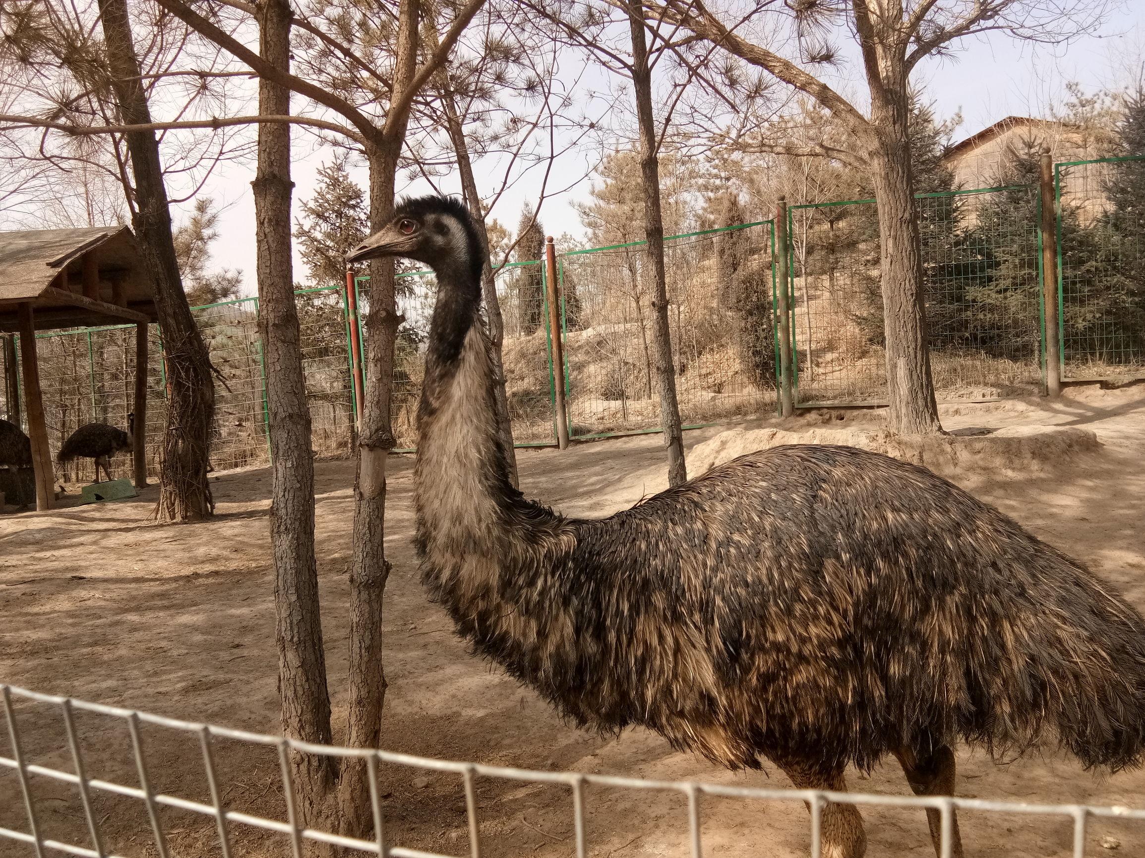 青海，秘境自然与人文交融的壮丽画卷